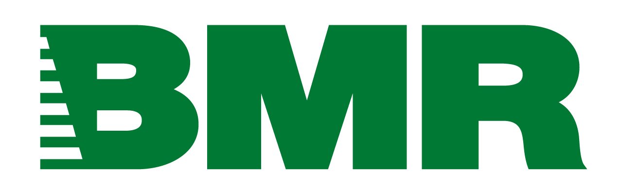 Logo BMR RGB